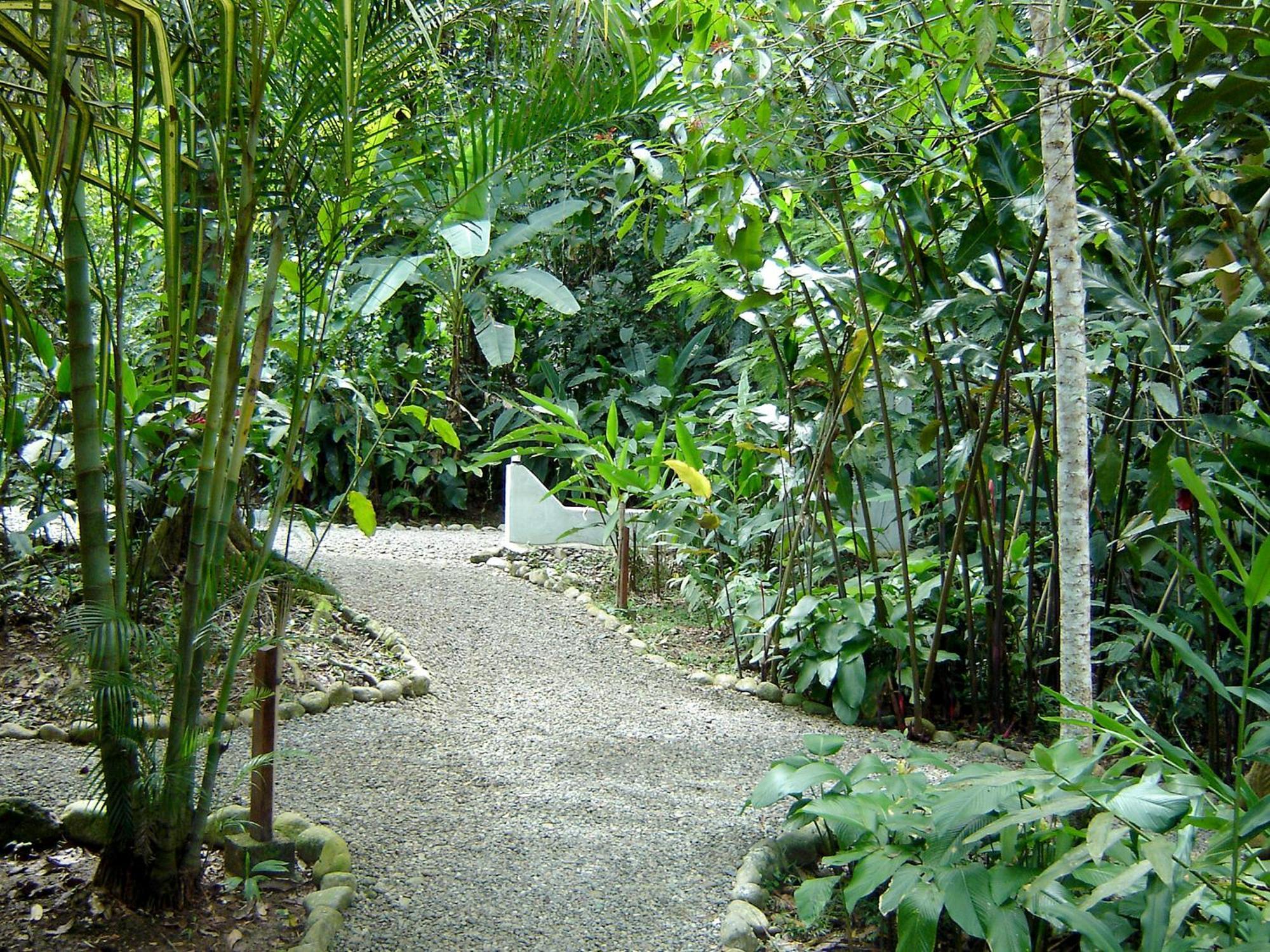 El Colibri Lodge Manzanillo  Luaran gambar