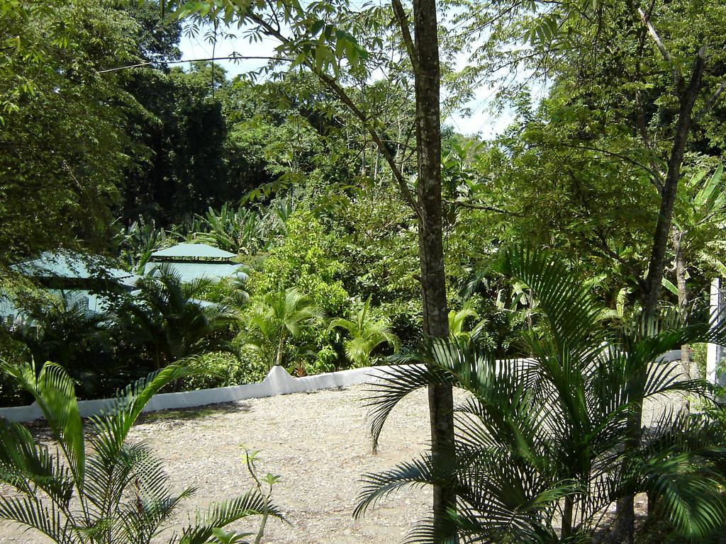 El Colibri Lodge Manzanillo  Luaran gambar