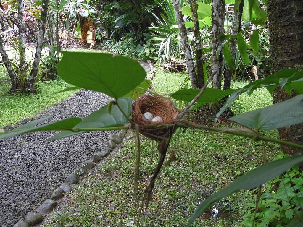 El Colibri Lodge Manzanillo  Luaran gambar