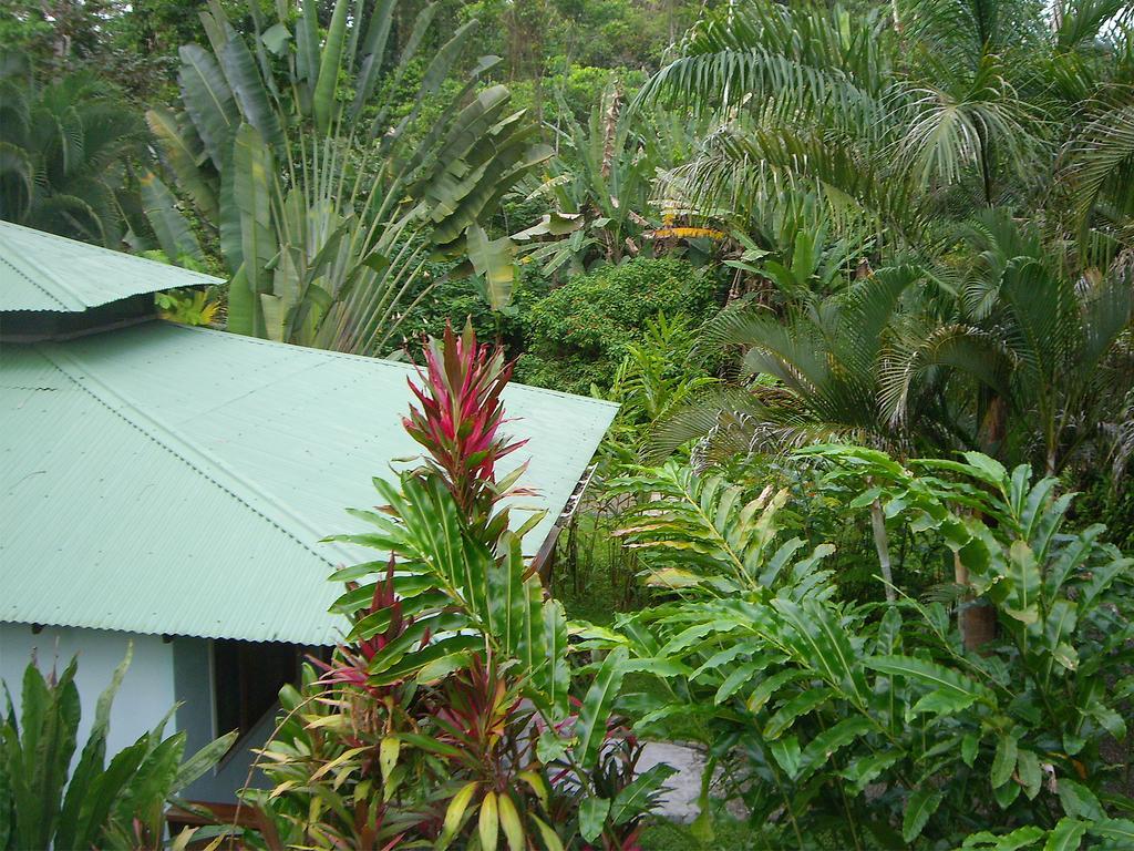El Colibri Lodge Manzanillo  Luaran gambar