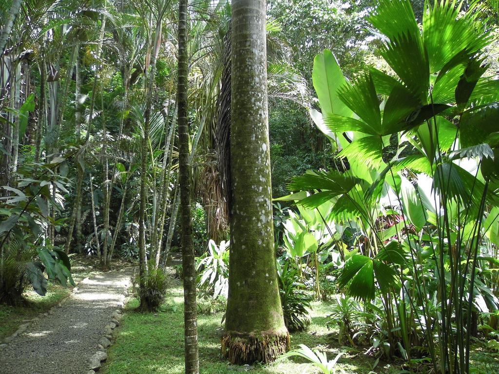 El Colibri Lodge Manzanillo  Luaran gambar